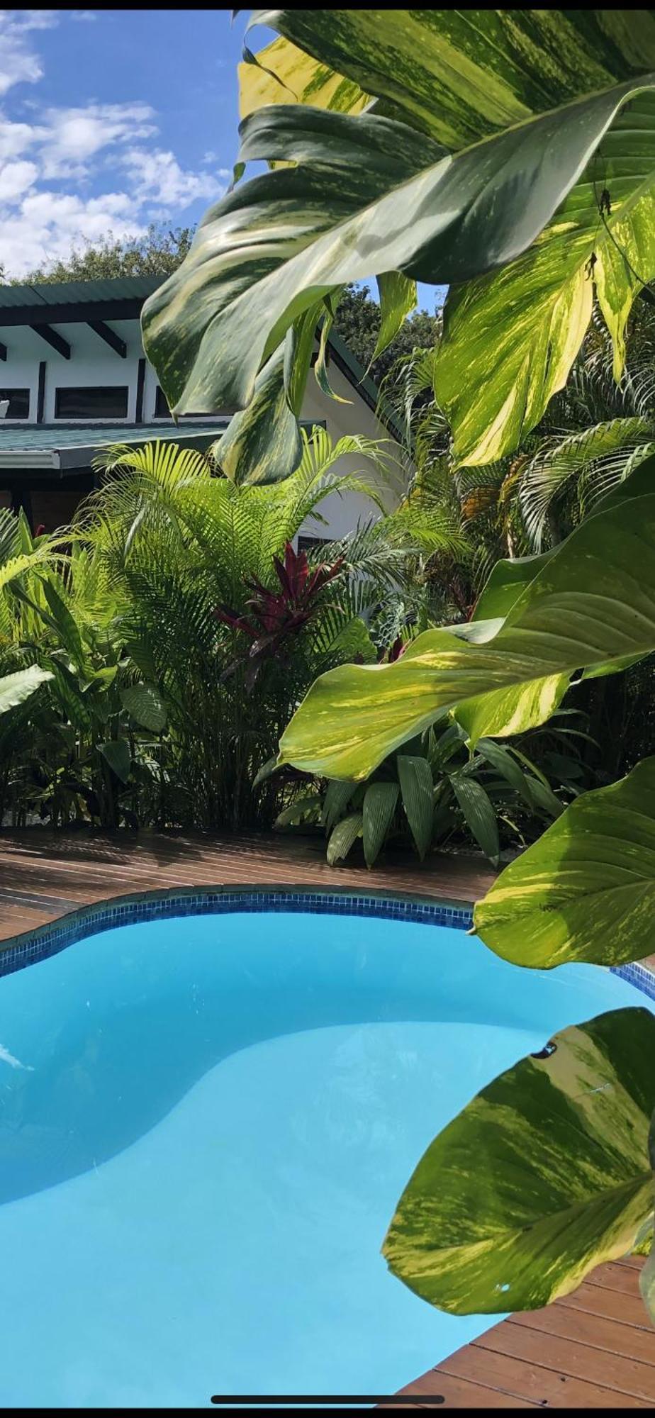 Santeria Lodge Playa Santa Teresa  Eksteriør billede
