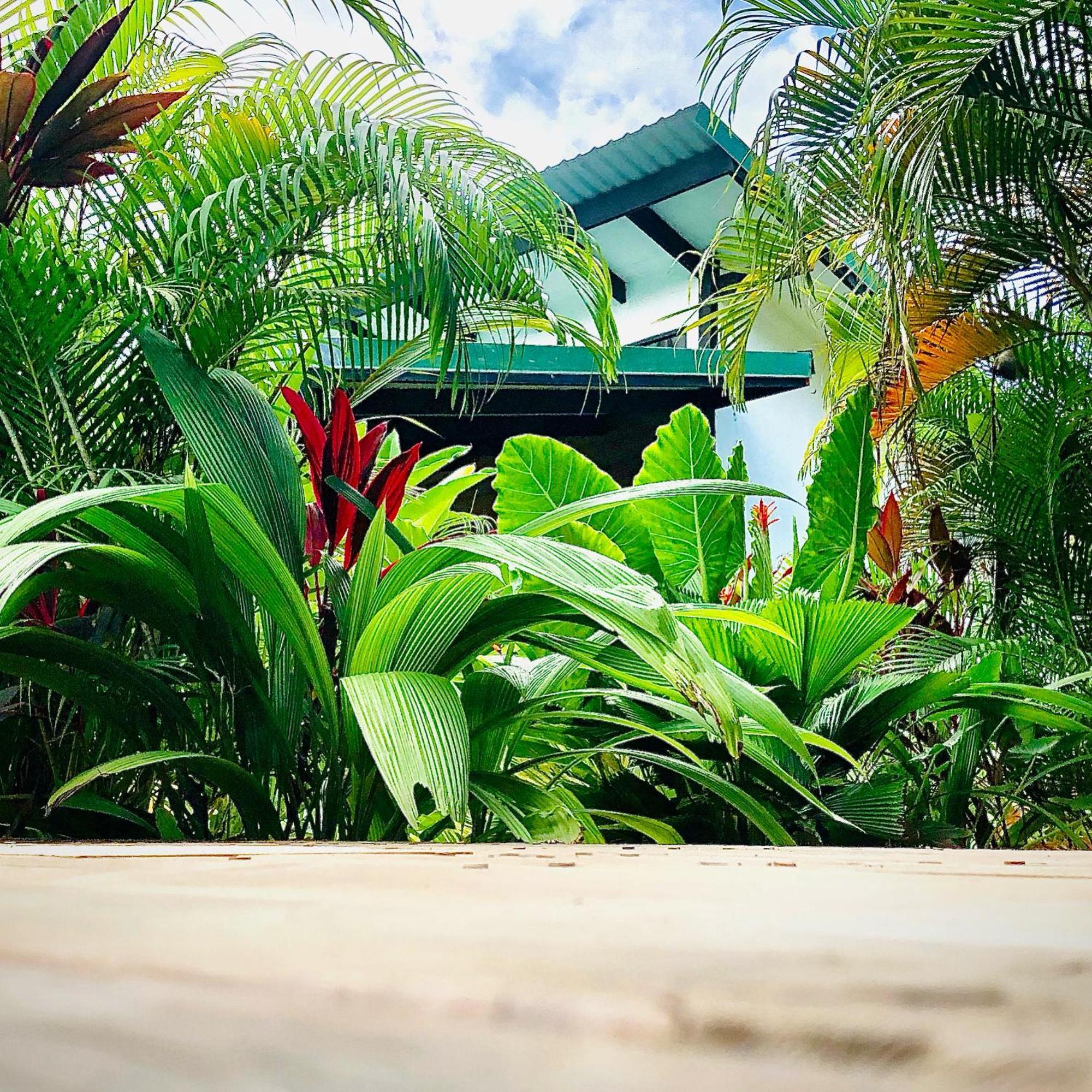 Santeria Lodge Playa Santa Teresa  Eksteriør billede