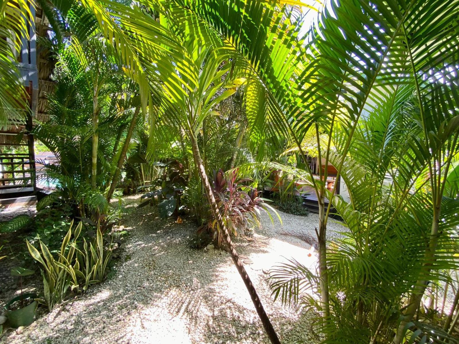 Santeria Lodge Playa Santa Teresa  Eksteriør billede