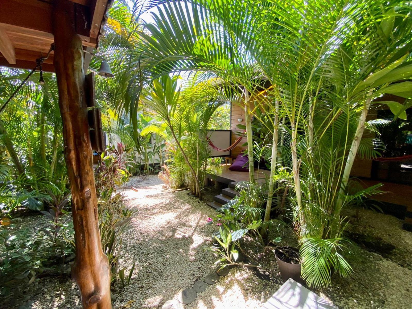 Santeria Lodge Playa Santa Teresa  Eksteriør billede