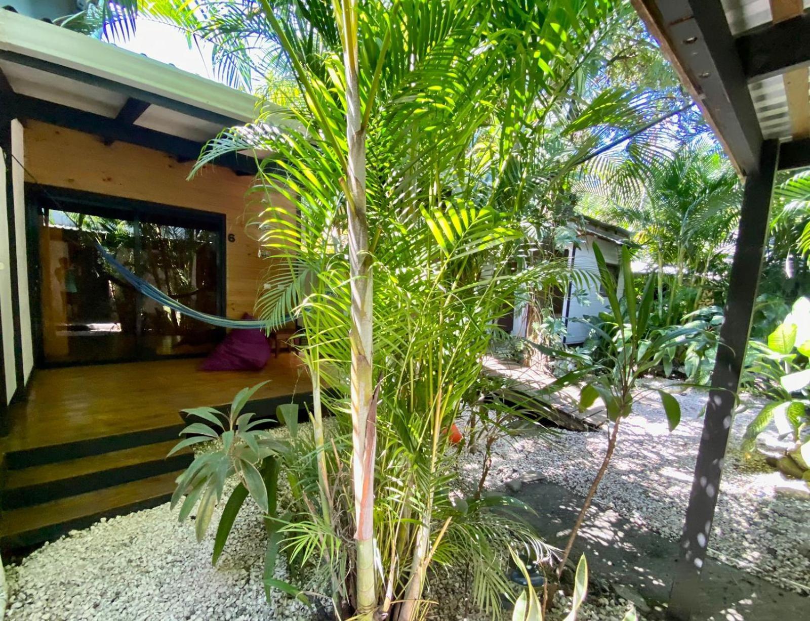 Santeria Lodge Playa Santa Teresa  Eksteriør billede