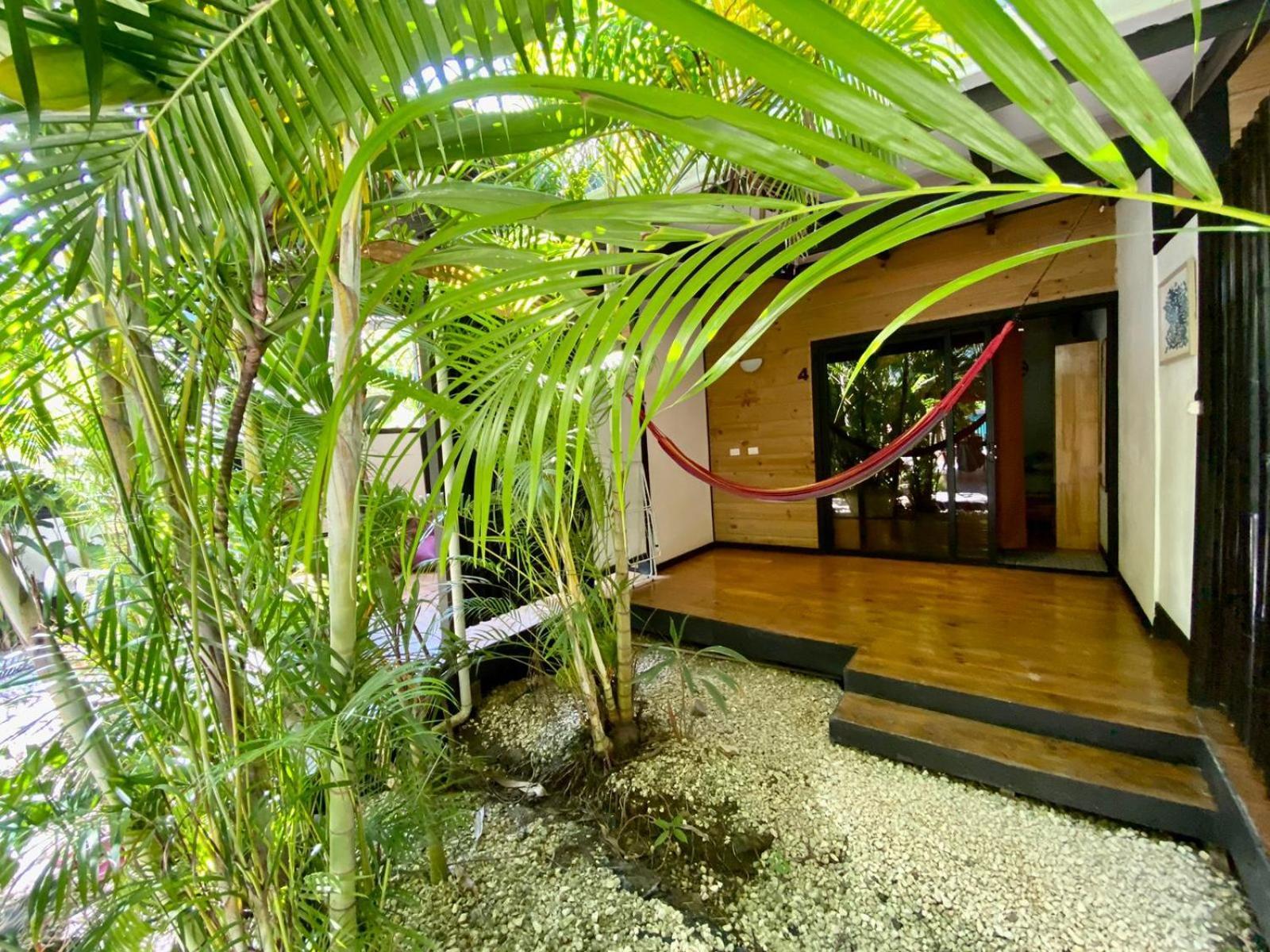 Santeria Lodge Playa Santa Teresa  Eksteriør billede