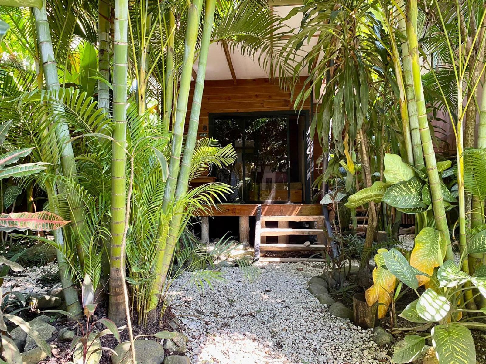 Santeria Lodge Playa Santa Teresa  Eksteriør billede