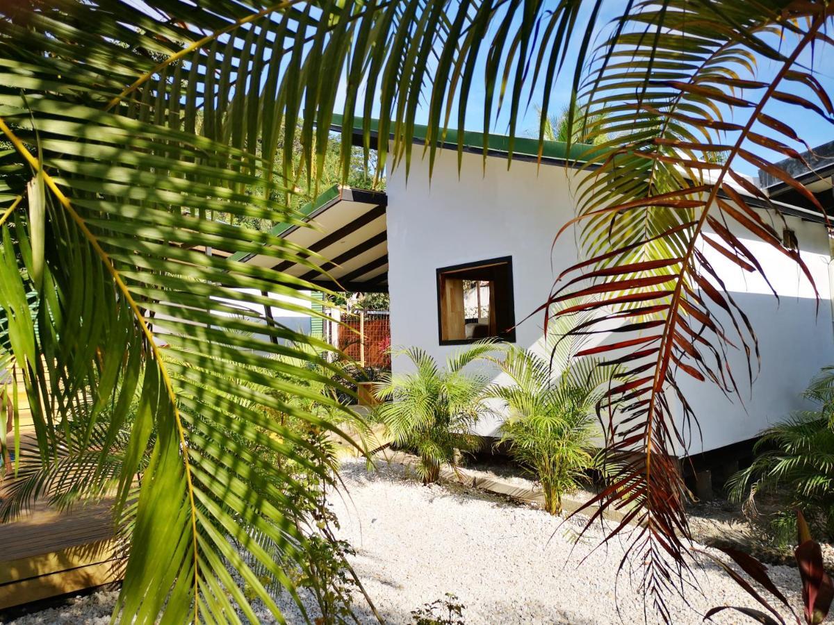 Santeria Lodge Playa Santa Teresa  Eksteriør billede