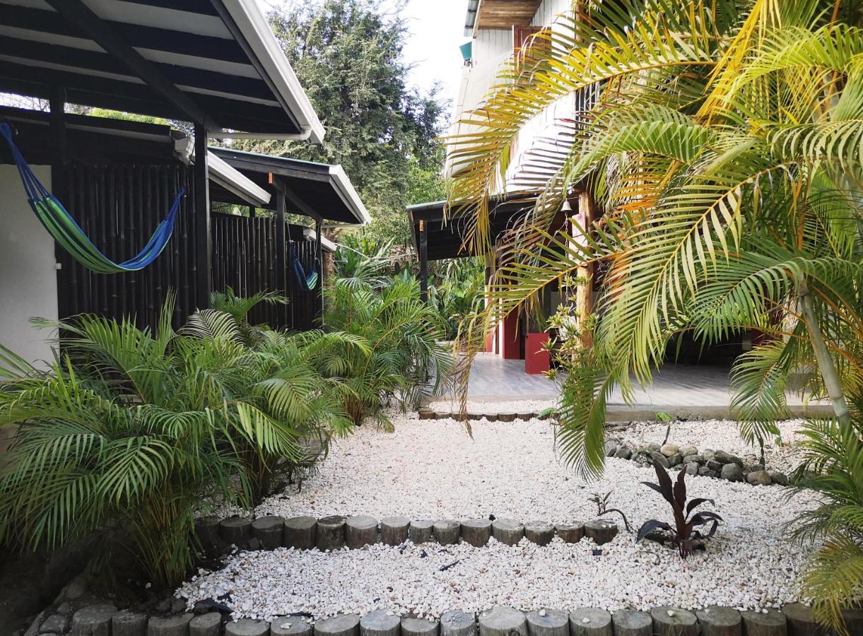 Santeria Lodge Playa Santa Teresa  Eksteriør billede